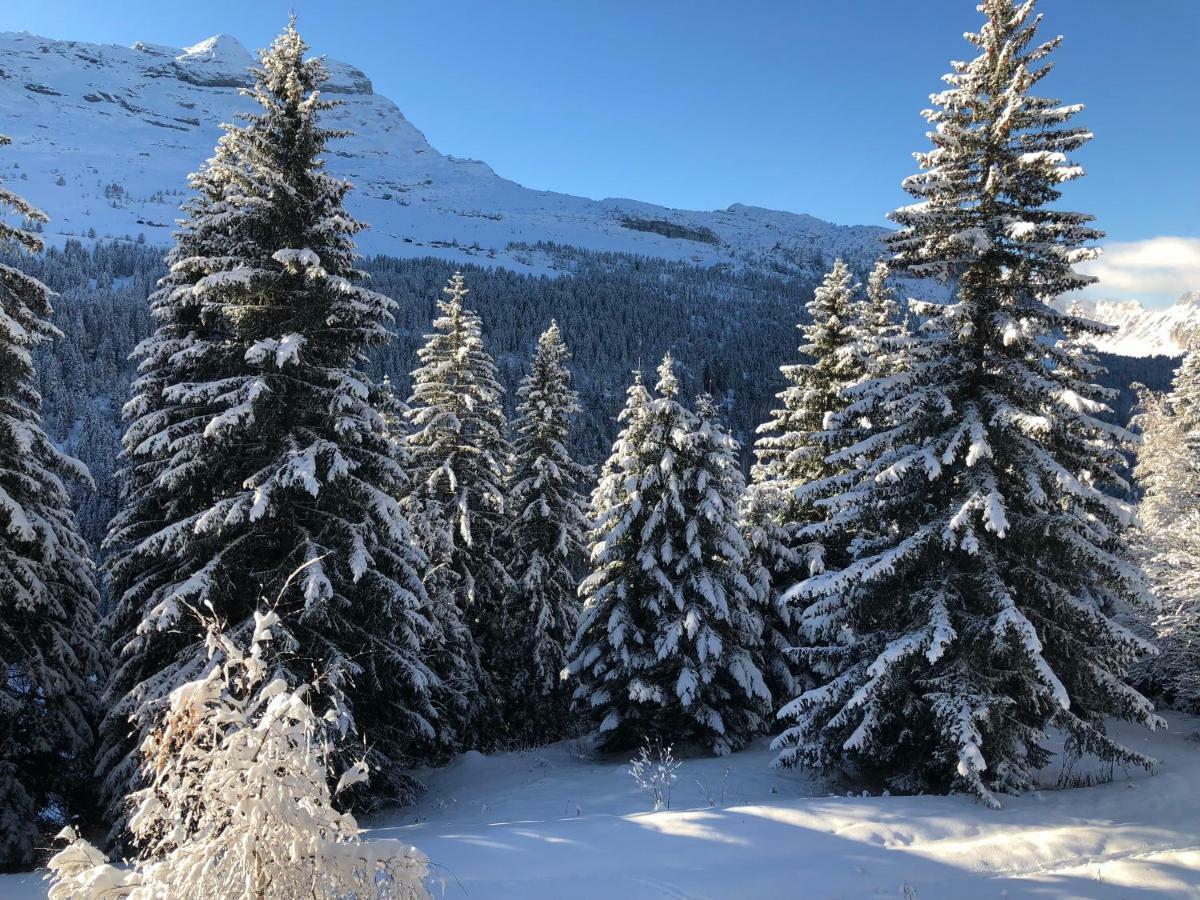 Spacious Apartment Iris, Flaine Foret 外观 照片